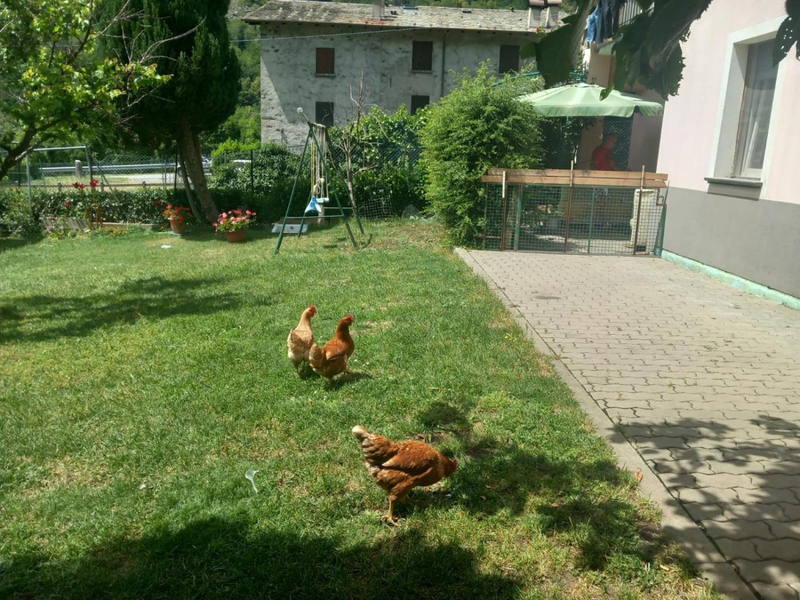 Casa Sergio Grosio Luaran gambar