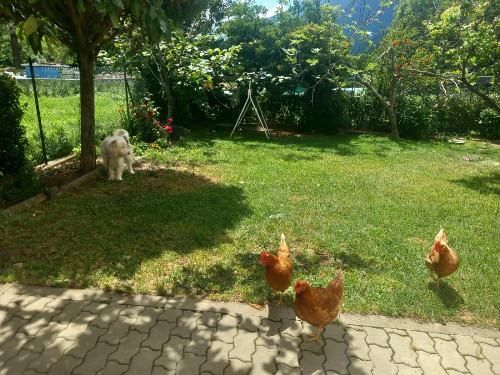 Casa Sergio Grosio Luaran gambar